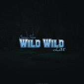 Wild Wild Love (RainDropz! Edit) artwork