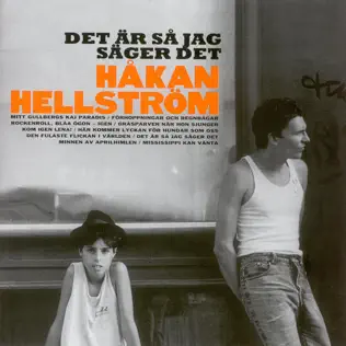 ladda ner album Håkan Hellström - Det Är Så Jag Säger Det