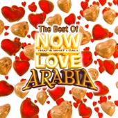 The Best of Now Love Arabia artwork