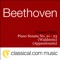 Piano Sonata No. 21 In C, Op. 53 (Waldstein) - Allegro Con Brio artwork