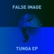 Tunga - False Image lyrics