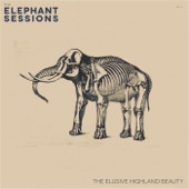 The Elephant Sessions - Ainya's