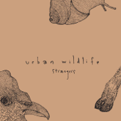 Strangers - Urban Wildlife