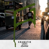 Gramatik - Watch Baby