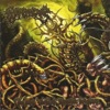 The Dark World of Parasitic Infections