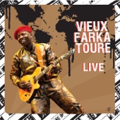 Vieux Farka Touré - Fafa (Live at the Thornbury Theatre)