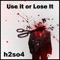 Use It or Lose It (Pels Dub Vocal Mix) - H2SO4 lyrics
