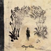 Sigur Rós - Hoppípolla