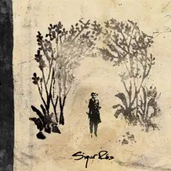 Takk... - Sigur Ros