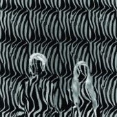Zebra (UK Radio Edit) artwork