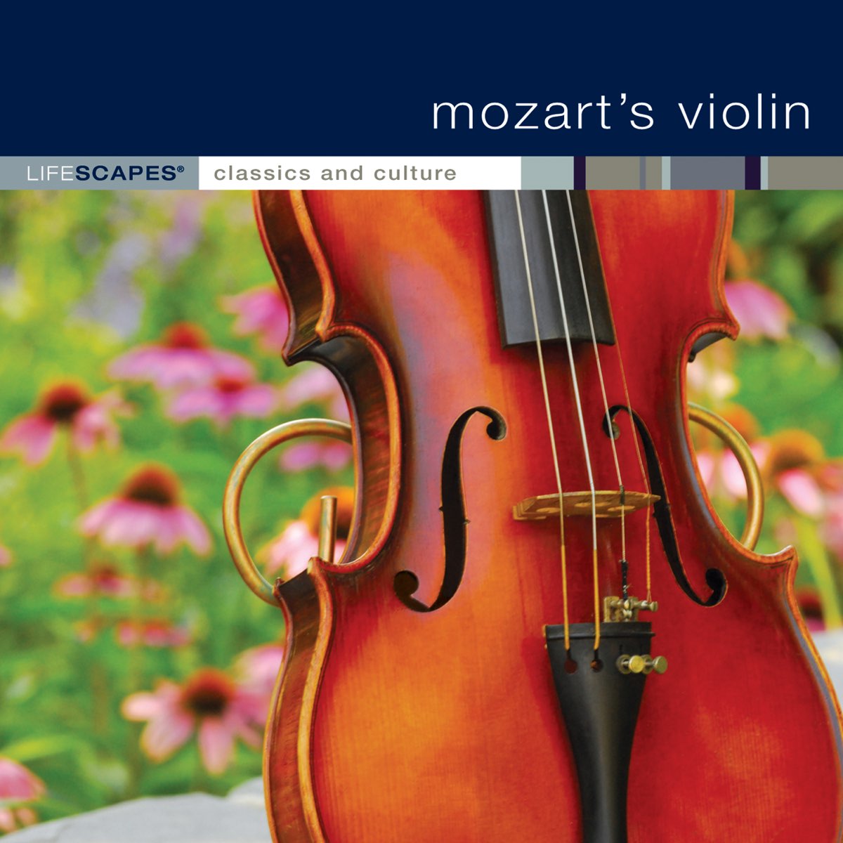 Музыка моцарта скрипка. Моцарт со скрипкой. Haydn Trio Eisenstadt.