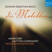 Bach: Die Motetten artwork