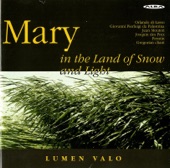Mary in the Land of Snow and Light artwork