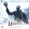 Haider (Original Motion Picture Soundtrack)