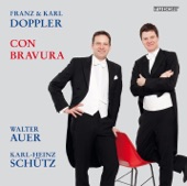 Franz & Karl Doppler: Con Bravura artwork