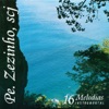 16 Melodias (Instrumental), 1995