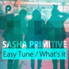 Easy Tune / What's It - Single