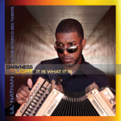 Darkness to Light - It Is What It Is - Lil' Nathan & The Zydeco Big Timers