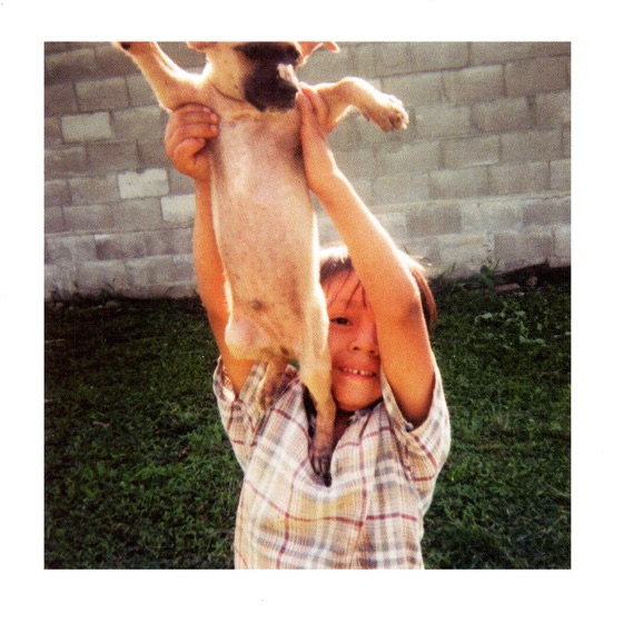 Cover artwork for Kevin