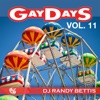 Party Groove: Gay Days Vol. 11 (Continuous DJ Mix)