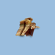 1612 - Vulfpeck