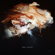 Honey - Djrum