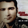 Adam Brand - Blue Sky Cathedral