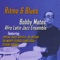 Senor Blues (Instrumental) - Bobby Matos lyrics