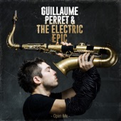 Guillaume Perret & the Electric Epic - Shoebox