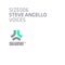 Voices (Laidback Luke Remix) - Steve Angello lyrics
