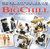 The Big Chill 15th Anniversary cover