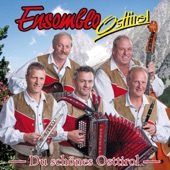 Das Ensemble Osttirol-Medley artwork