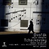 Truls Mørk & Leif Ove Andsnes - Variations on a Rococo Theme Op. 96: Variation VI - Andante