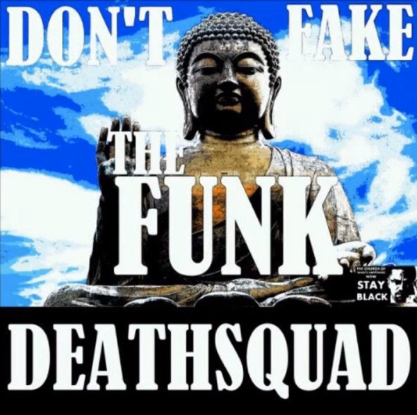 Don't Fake The Funk cover