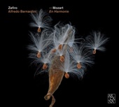 Zefiro & Alfredo Bernardini - Don Giovanni, K. 527, Act I: « Fin ch’han dal vino » (Arranged by Alfredo Bernardini)