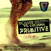 Primitive (Richard Vission Remix) artwork