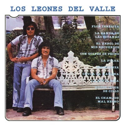 Flor Teresita - Los Leones del Valle | Shazam