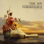 The Joy Formidable - This Ladder Is Ours