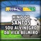 Hino do Santos Sou Alvinegro da Vila Belmiro - B.B. Brasil Group & Futebal Hinos lyrics