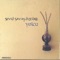 Gitti - Sevgi Savaş Öztürk lyrics