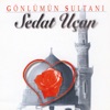 Gönlümün Sultanı