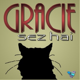 Gracie Sez Hai cover