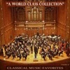 Classical Music Favorites, Vol. 43