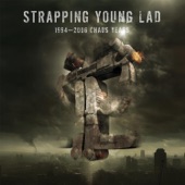 Strapping Young Lad - Aftermath