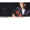 Glen Campbell - Dreams of the Everyday Housewife