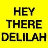 Hey There Delilah artwork