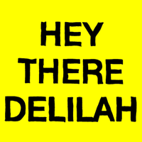 Plain White T's - Hey There Delilah artwork