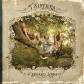 T Sisters - American Tune