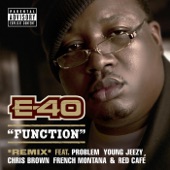 Function (Remix) [feat. Probelm, Young Jeezy, Chris Brown, French Montana & Red Café] artwork