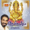 Unni Menon - Unni Ponnunnee